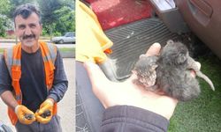 Araç motoruna sıkışan yavru kedileri itfaiye ekipleri kurtardı