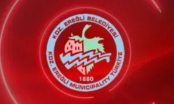 Kdz. Ereğli Belediye Başkanlığı soğuk uygulamalı asfalt yama malzemesi alımı