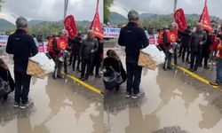 Zonguldak Belediyesi’nden dev hizmet! İşçiler süs havuzu ve adacıklarla karşılandı
