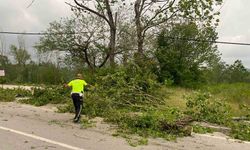 Şiddetli fırtınada ağaçlar devrildi