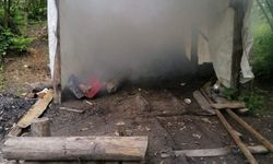 Zonguldak'ta 9 ocak imha edildi