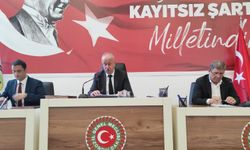 Necdet Karaveli, Özgür Özel'e yapılan saldırıyı kınadı