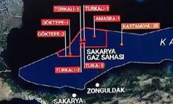Sakarya gaz sahasından çıkarılan gazın kömürle ilgisi var mı?
