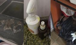 Köpeği bağlasan durmaz: Bu ne rezalet?
