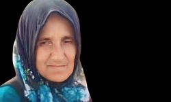Hafriyat kamyonunun çarptığı yaya öldü
