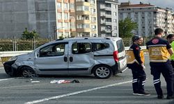 2 kardeşin öldüğü kazaya arı paniği neden olmuş