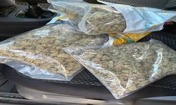 Hafif ticari aracında 1,5 kilo skunk ele geçirilen sürücüye gözaltı