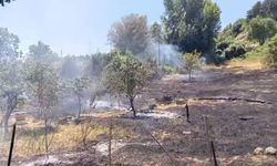 Anız yangını büyümeden söndürüldü
