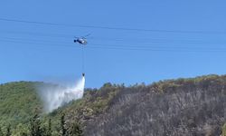 Ağaçlık alanda çıkan yangın kontrol altına alındı