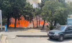 Ağaçlık alanda yangın çıktı, 4 kişi dumandan etkilendi