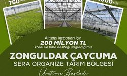 Çaycuma’da Sera Organize Tarım Bölgesi Üretime Başladı