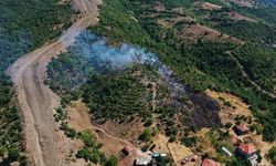 Çayır Köyü'nde orman yangını