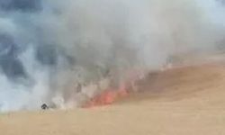 Ekili arazide yangın!
