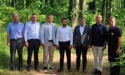 Gençlik Kampı için saha çalışmaları başladı