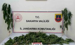 Jandarma uyuşturucuya geçit vermiyor: 3 tutuklama