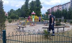 Kene ile mücadele: Park alanları ilaçlandı