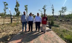 Milet Bahçesi Ağustos ayında açılacak