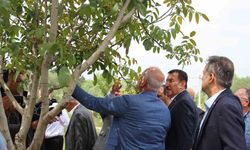 TBMM Zirai Don Araştırma Komisyonu, inceleme yaptı