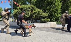 Zonguldak Valiliği önünde köpek saldırısı!