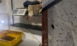 Burası simit fırını: Ekiplere şok yaşatan görüntüler