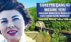 Karaelmas Ekspresi Süreyya Çamlığı mesire yeri molası