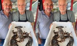 Zonguldak’ta dev ıstakoz avı: Gören bir daha baktı