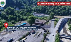 Zonguldak Belediyesi adres gösterdi: Burada kesilecek!
