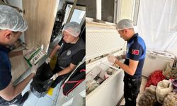 Lokantada büyük tehdit: Fare pisliğiyle doluymuş!