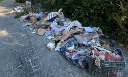 Teşekkürler 'Erdemsiz' belediyecilik: Mahalle çöplüğe döndü!