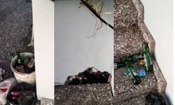 Orta Kapuz ve Tersane Plajları'nda rezil görüntü: Patlatmışlar!