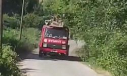 Çöp yangını ormana sıçradı, 2 dönüm arazi zarar gördü