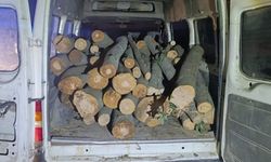 1 ton kaçak orman ürünü ele geçirildi