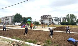 Çocuklara yeni oyun alanı
