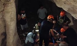 Yasak getirilen ormanda yapılan piknik pahalıya patladı: 5 kişiye ceza yağdı!