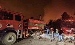 Orman yangını büyüyor, iki mahalle tahliye edildi