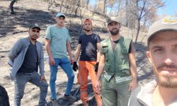 Ormanlar yeniden doğuyor: Fidan mesaisi başladı
