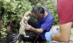 Kanala düşen yavru köpek için zamanla yarıştılar