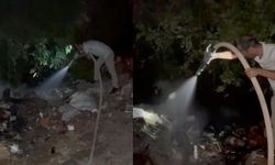 Yol kenarına atılan çöpler yangına neden oldu