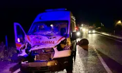 Ambulans mandaya çarptı: Manda telef oldu, sürücü yaralandı!