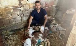 Nadir görülen vaka: Bir doğumda üç can
