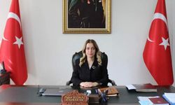 Zonguldaklı Tuğçe Yılmaz, Ağın Kaymakamlığı'na atandı