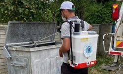 Bin 225 çöp konteyneri ilaçlandı