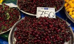 Fiyatı gören bir daha baktı: Kilosu 750 TL!