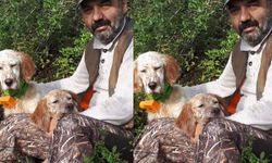 Muhtar Mesut Gedik’in köpekleri kayboldu: Bulana 100 bin TL ödül verilecek