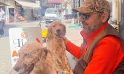 Muhtar Mesut Gedik'in kaybolan köpekleri bulundu