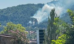 Ormanlık alanda büyük yangın: Ekipler olay yerinde!