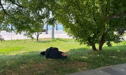 Hareketsiz yatan vatandaş panik yarattı
