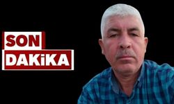 Yunus Çelik, kestiği ağacın altında hayatını kaybetti