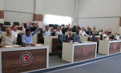 CHP'li İl Genel Meclisi Üyesinden Çevre ve Şehircilik Bakanına teşekkür!