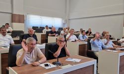 İl Genel Meclisi Toplantıları tatile girdi